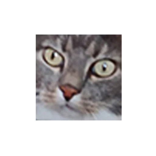 Стикер стикеры онли смерть._. - 11