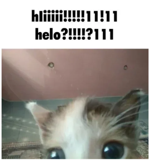 Sticker poshelnaxyignida - 1