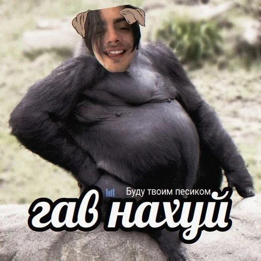 человеческое лицо на открытом воздухе Человек