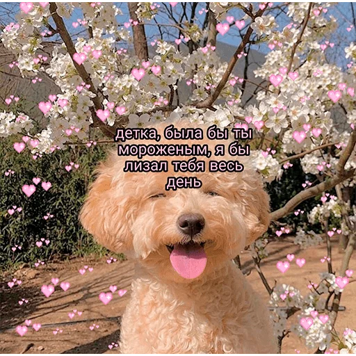 на открытом воздухе собака дерево