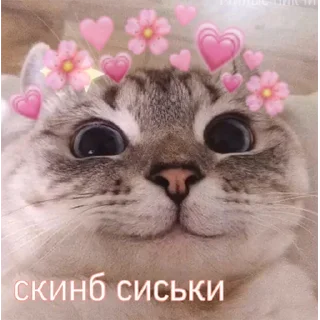 Стикер пошлые пикчи - 11