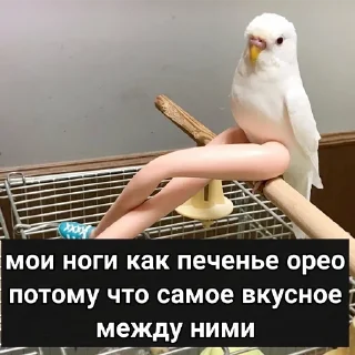 Стикер пошлые пикчи - 4