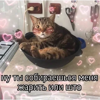 Стикер пошлые пикчи - 6