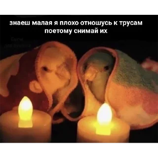 Стикер пошлые пикчи - 3