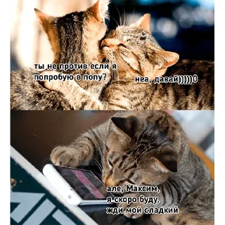 Стикер пошлые пикчи - 10