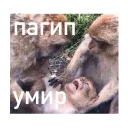 Поспишь потом - человеческое лицо