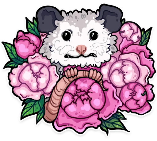 Стикер awesomepossum (@kotypic) - 5