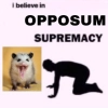 opossums_p1 - 