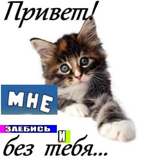 Sticker уебанские открытки - @postpozhelaniya - 11