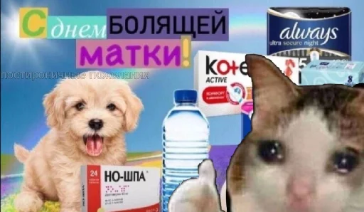 Sticker уебанские открытки - @postpozhelaniya - 7