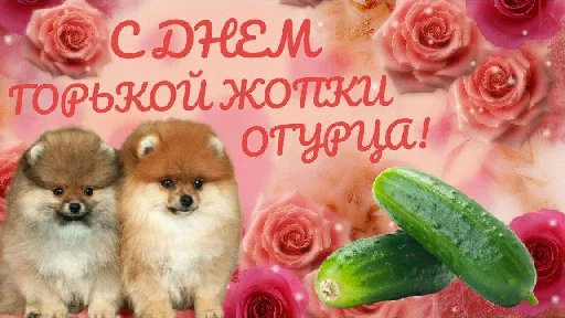 Sticker уебанские открытки - @postpozhelaniya - 3