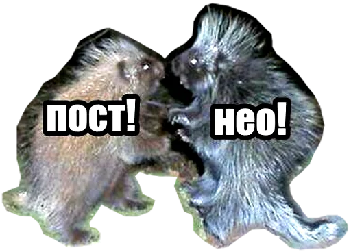 Постанархизм - 