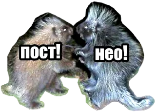 Стикер Постанархизм - 0