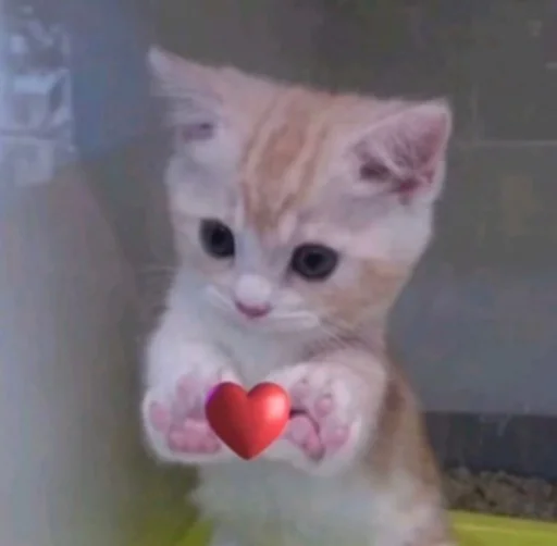 Стикер postikpack - 1