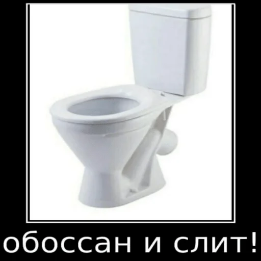 bathroom toilet toilet seat