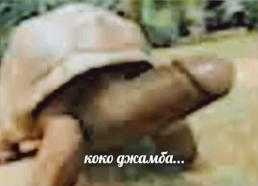 Человек СМС земля