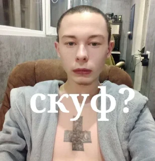 Sticker панкоповар каторгин @u_vershk - 2