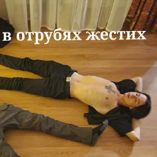 Sticker панкоповар каторгин @u_vershk - 11