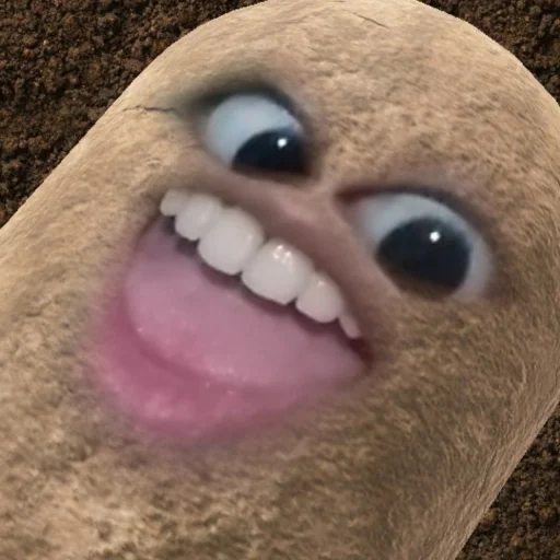 Макросъемка орган зуб