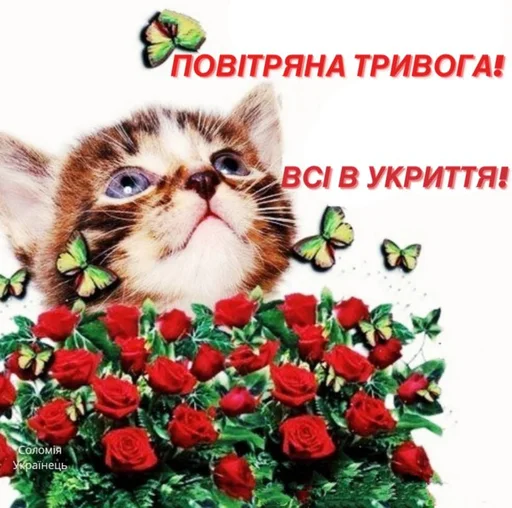 повітряна тривога - СМС