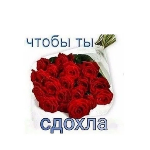 роза СМС День Святого Валентина