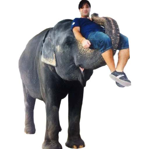 Sticker powerstickers20 - 1