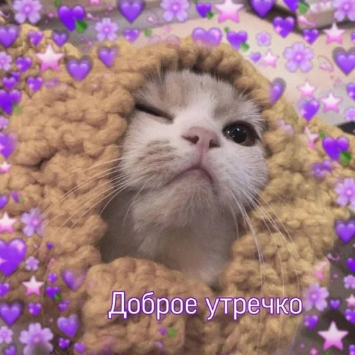 Sticker я ебала вас @diesswdd :: @fStikBot - 9