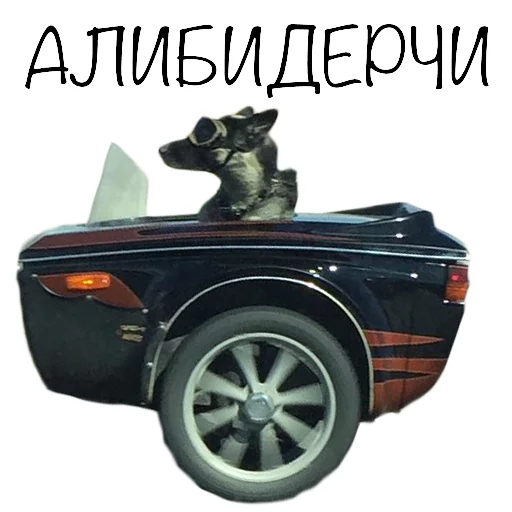 vehicle wheel land vehicle