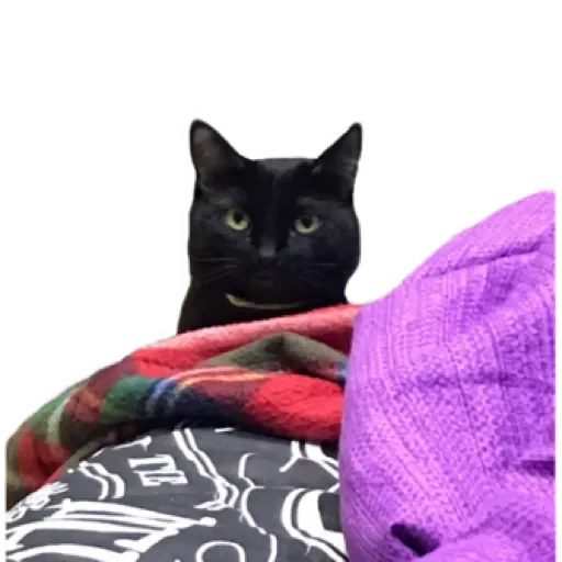 Sticker ppostnclkeMP_by_stqr_bot - 1