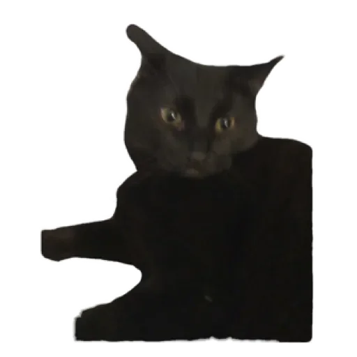 Sticker ppostnclkeMP_by_stqr_bot - 1