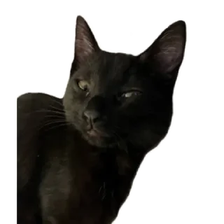 Sticker Тарья  by @stqrapp - 1