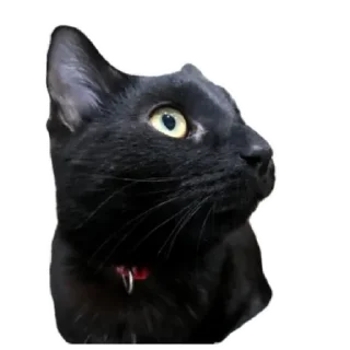 Sticker Тарья  by @stqrapp - 11