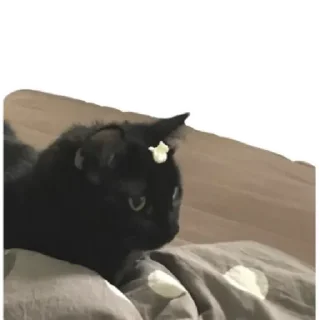 Sticker Тарья  by @stqrapp - 8