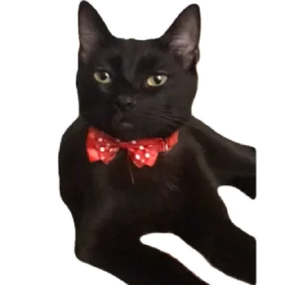 Sticker Тарья  by @stqrapp - 9