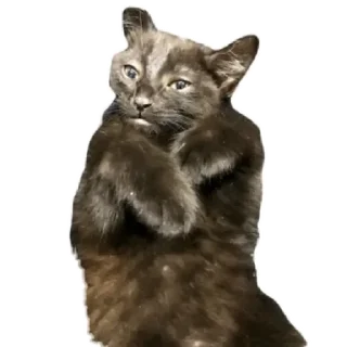 Sticker Тарья  by @stqrapp - 7