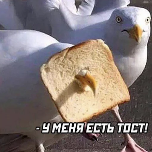 Sticker ppp_custom_rebirth - 9