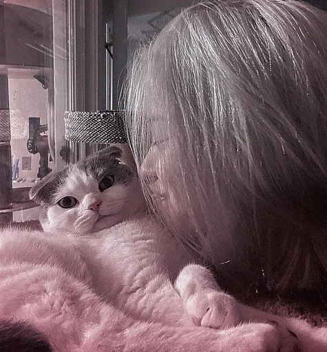 Sticker {r 🕸 @poslednieminuti } :: @fStikBot - 4