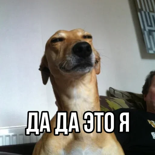 Sticker pqMDjh_by_stickers_stealer_bot - 1