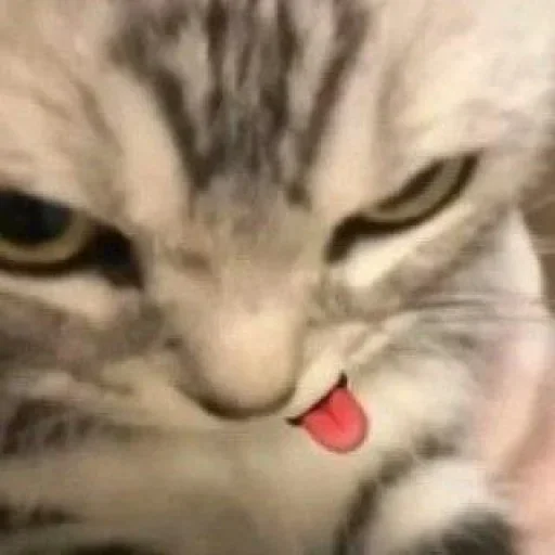 Sticker pqjqotz_by_Stickerevobot - 1