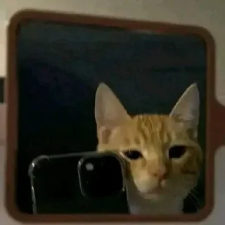 Sticker Больше стикеров тут: @stickers_memy - 5