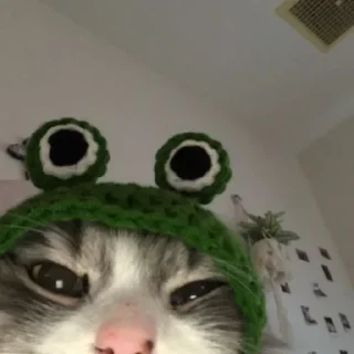 Sticker Больше стикеров тут: @stickers_memy - 4