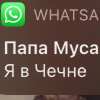 Sticker Предки пишут…. @predkiwrite - 3