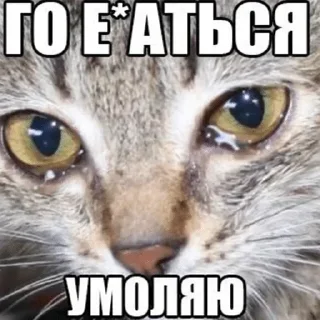 Стикер Больше стиков 👉 @premiumstikery - 10