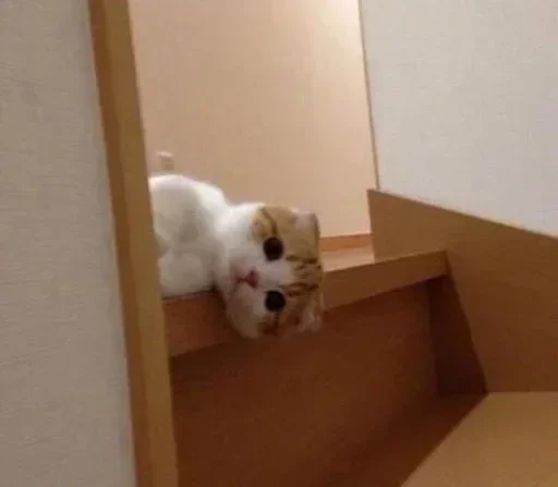 Sticker premiumstikery5_by_e4zybot - 1