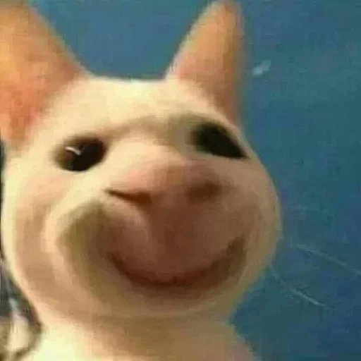 Sticker premiumstikery5_by_e4zybot - 1