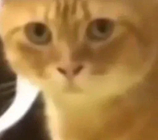 Sticker premiumstikery5_by_e4zybot - 1