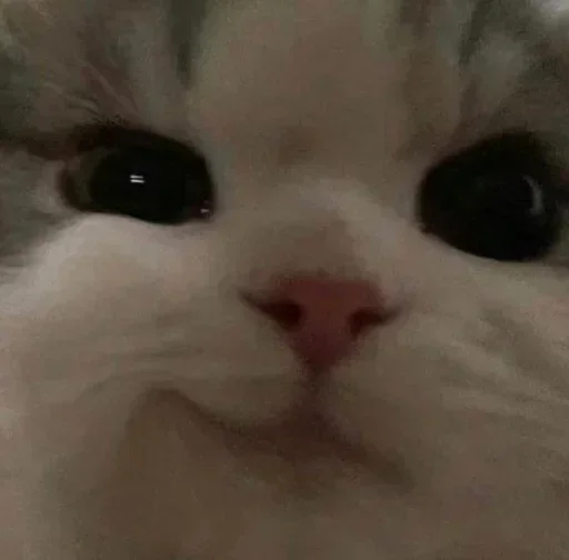 Sticker premiumstikery5_by_e4zybot - 1