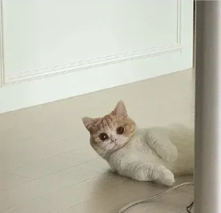 Sticker Больше тут 👉 @premiumstikery - 9