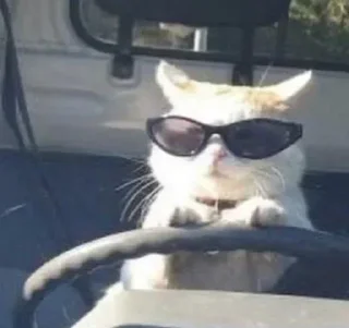 Sticker Больше тут 👉 @premiumstikery - 2