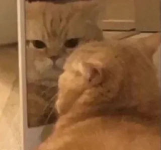 Sticker Больше тут 👉 @premiumstikery - 11